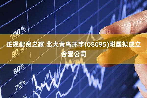正规配资之家 北大青鸟环宇(08095)附属拟成立合营公司