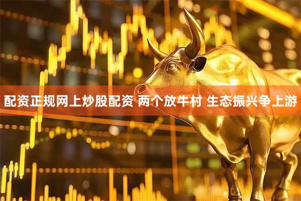 配资正规网上炒股配资 两个放牛村 生态振兴争上游